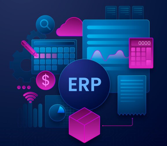 Netsuite ERP